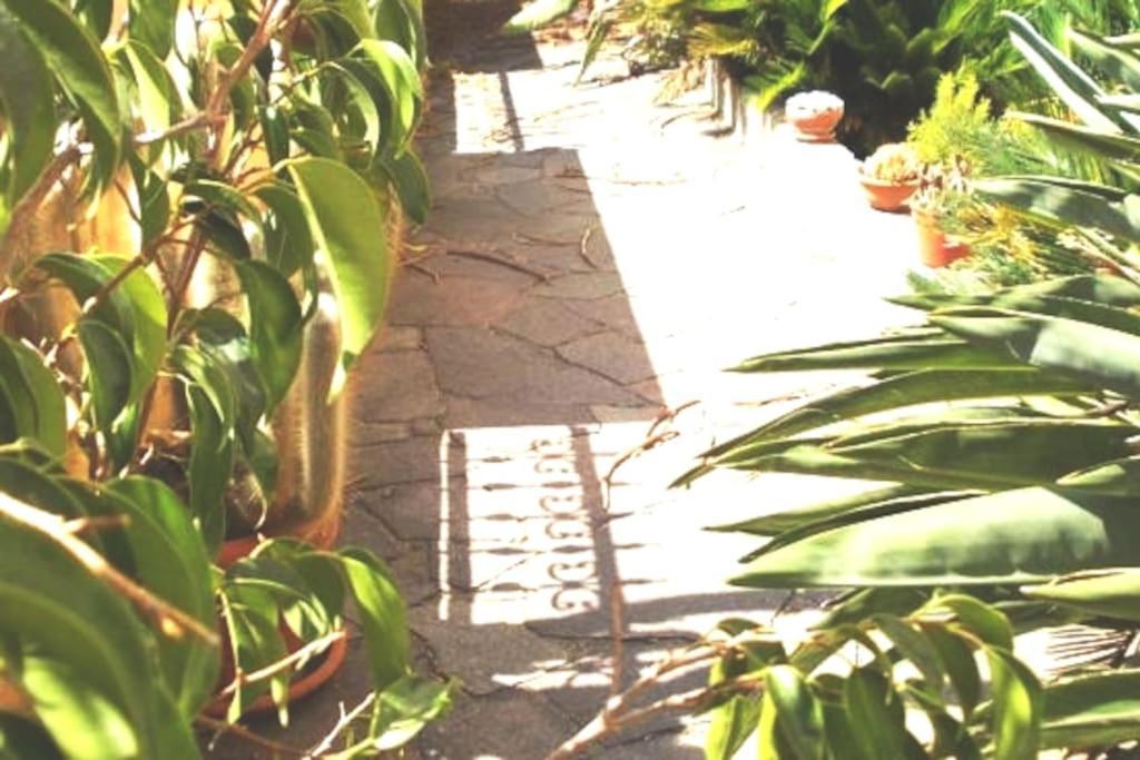 Italia Guesthouse Milis Buitenkant foto